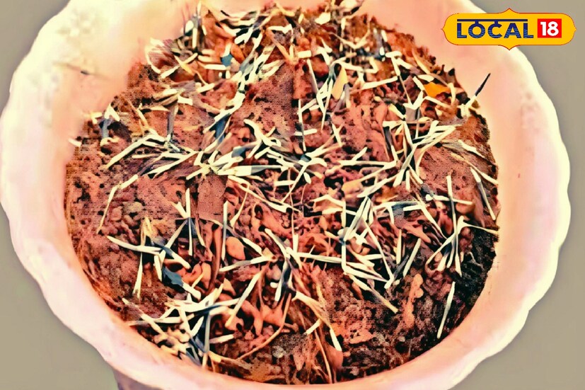 বীজ ছড়িয়ে দেওয়ার পর ওপর থেকে আরোও একটু হালকা করে মাটি দিয়ে দিতে হবে। এমন ভাবে মাটি ছড়িয়ে দিতে হবে। যাতে উপর থেকে খালি চোখে বীজগুলি দেখা না যায়।