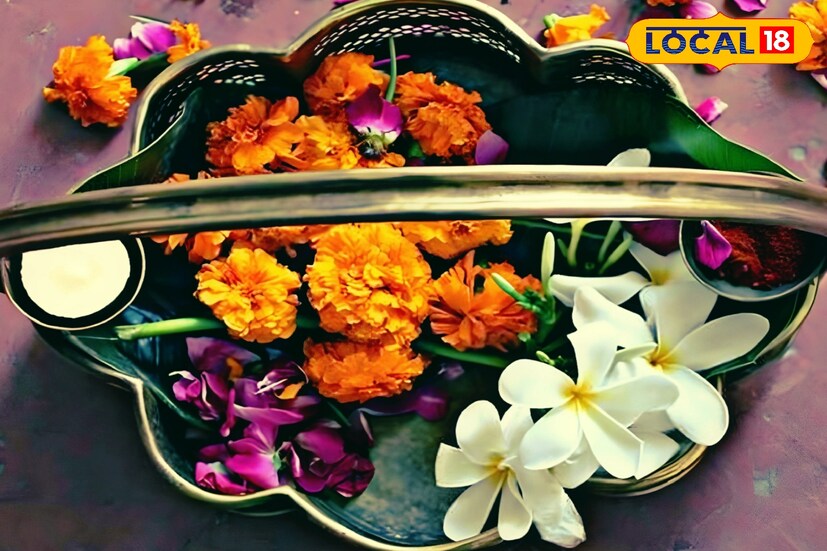 বেশির ভাগ ফুল পুজোর পর ফেলে দেওয়া হয়। তবে সেই ফুলগুলি থেকেই চারা জন্মাতে পারে সহজে। প্রতিদিন গাঁদা ফুল বাজার থেকে কেনার প্রয়োজন হবে না।