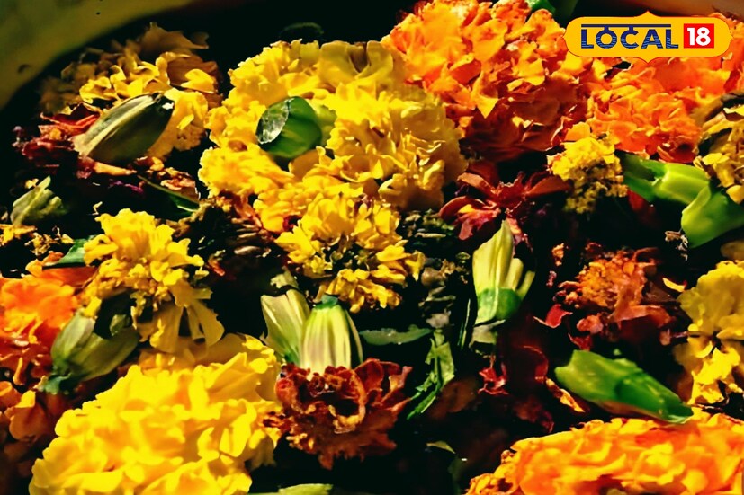 গাছের জন্য কখনও রাসায়নিক সার ব্যবহার করবেন না। এর জন্য, রান্নাঘরে পাওয়া যেকোনও জৈব সার, বাড়তি ফুল-পাতা বা কম্পোস্ট ব্যবহার করুন। মাটিতে সার মিশিয়ে দেওয়ার পর, বীজগুলি প্রায় ৩-৪ ইঞ্চি গভীরে রোপণ করতে ভুলবেন না। এতে শিকড় মজবুত হবে এবং ফসল ভাল হবে।
