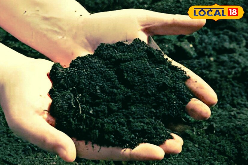 এবার উপর থেকে হালকা জল স্প্রে করে দিতে হবে। চাইলে উপর থেকে পাতলা, সুতির কাপড় চাপা দিয়ে রাখতে পারেন। যাতে মাটিতে হালকা ভিজে ভিজে ভাব বজায় থাকে।