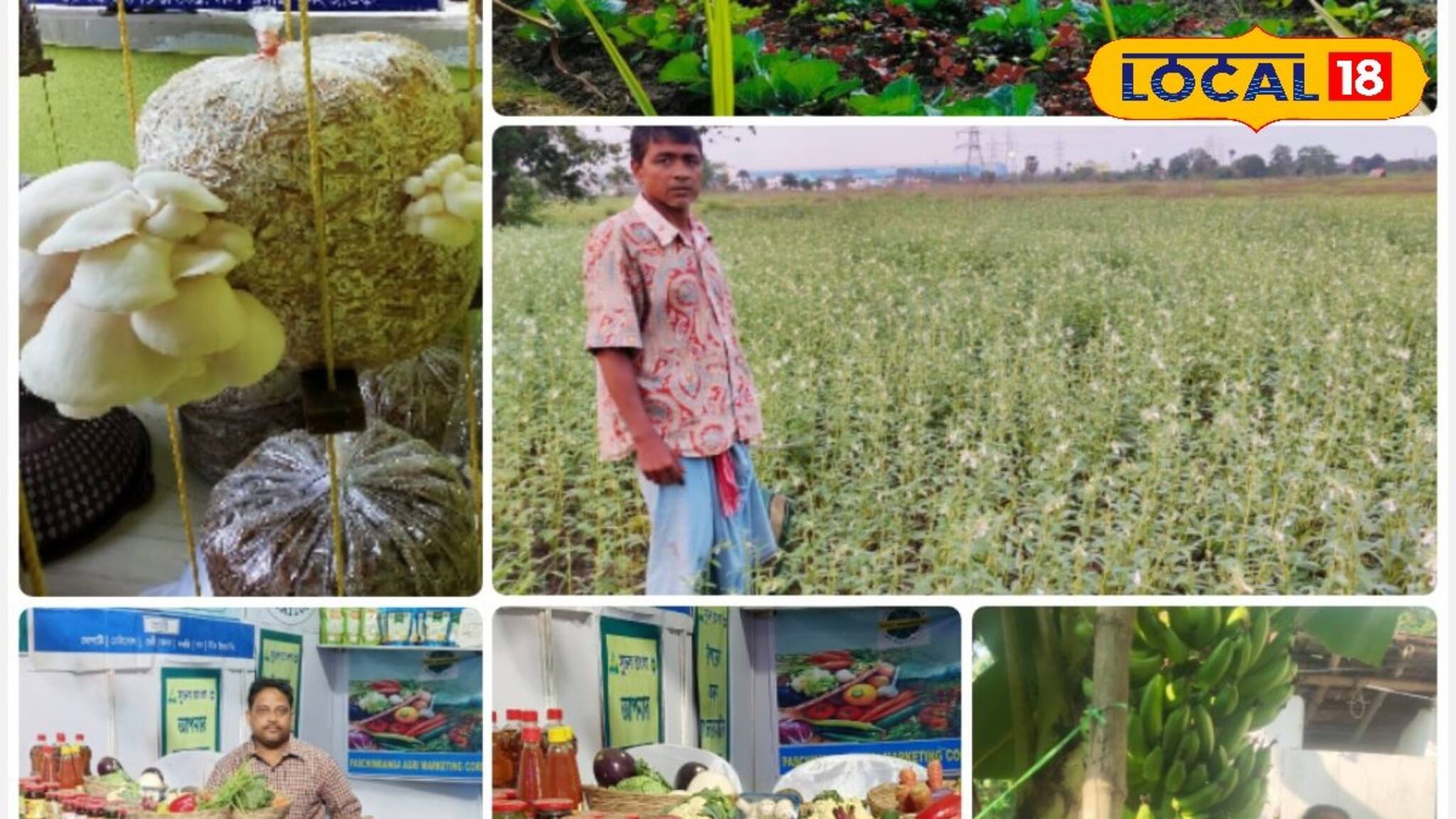 Farming Business: ক্ষতির দিন শেষ! এই পথেই 'চাষ' শুধুই লাভজনক! কৃষকের পাশে কৃষি বিপণন দফতর