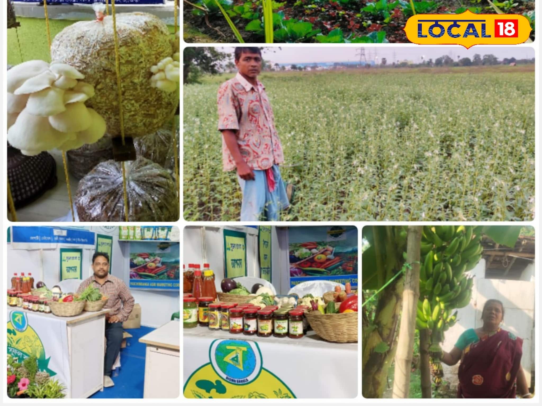 Farming Business: ক্ষতির দিন শেষ! এই পথেই 'চাষ' শুধুই লাভজনক! কৃষকের পাশে কৃষি বিপণন দফতর