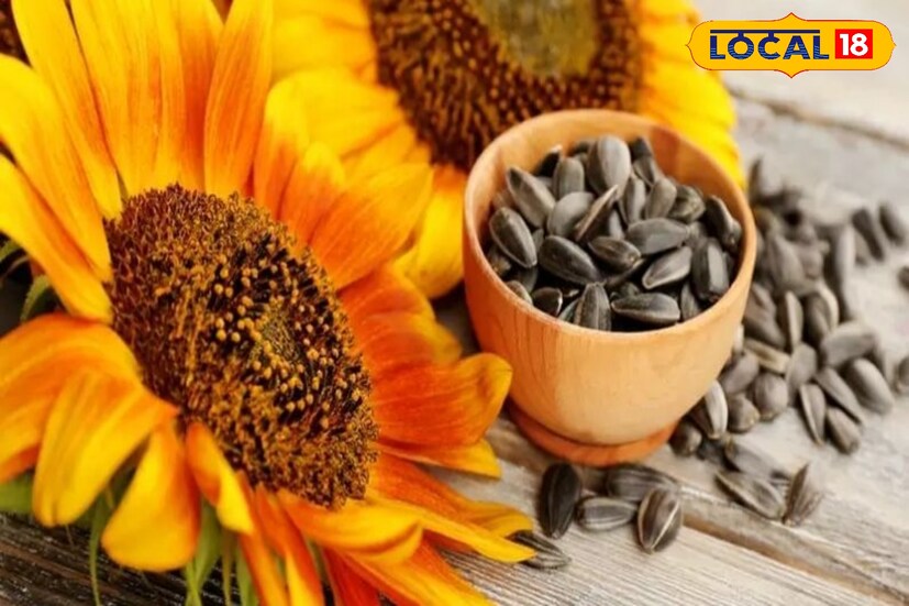 সূর্যমুখী বীজের মধ্যে প্রচুর পরিমাণে আয়রন রয়েছে, যা রক্তাল্পতা রোগকে প্রতিরোধ করে এবং এই রোগের চিকিৎসায় সাহায্য করে।