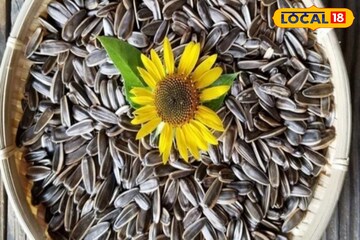 শীতে এই কালো দানায় ভাল হবে ত্বক-হাড়-হৃদয়, কী এটা? ডাক্তারের পরামর্শ জেনে নিন শীতে এই কালো দানায় ভাল হবে ত্বক-হাড়-হৃদয়, কী এটা? ডাক্তারের পরামর্শ জেনে নিন