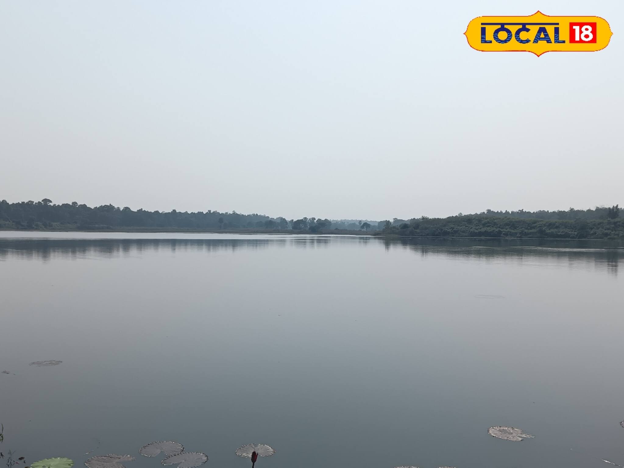 Jhargram Tourism: শাল জঙ্গলের মাঝে জলরাশিতে পরিযায়ী পাখির ঢল, ঝাড়গ্রামে গেলে এখানে যেতে মিস করবেন না