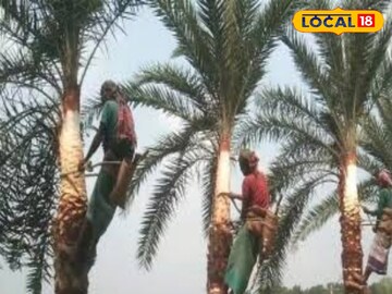 খেজুর