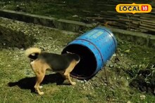 পথ কুকুরদের জন্য আস্তানা! এলাকার ‌যুবক‌যুবতীদের কাণ্ড দেখে অবাক স্থানীয়রা