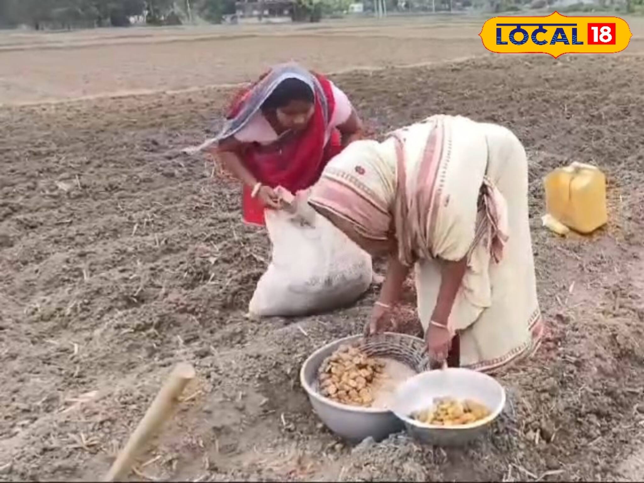 একদিকে আকাশছোঁয়া আলুর দাম ! অন্যদিকে আবহাওয়ার খামখেয়ালিপনা বাদ সাধছে আলু চাষে