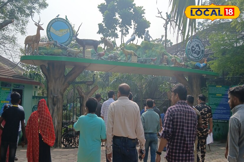 গড়চুমুক মিনি জুতে দত্তক নিতে পারেন বন্য প্রাণী ! দেশের প্রাচীন আলিপুর চিড়িয়াখানায় থেকে দত্তক নেওয়া হয় পশু পাখি! একইভাবে হাওড়ার গড়চুমুক জুওলজিক্যাল পার্কে বার্ষিক খরচে দত্তক নেওয়া যেতে পারে।  গড়চুমুক মিনি জুতে দত্তক নিতে পারেন বন্য প্রাণী ! দেশের প্রাচীন আলিপুর চিড়িয়াখানায় থেকে দত্তক নেওয়া হয় পশু পাখি! একইভাবে হাওড়ার গড়চুমুক জুওলজিক্যাল পার্কে বার্ষিক খরচে দত্তক নেওয়া যেতে পারে।