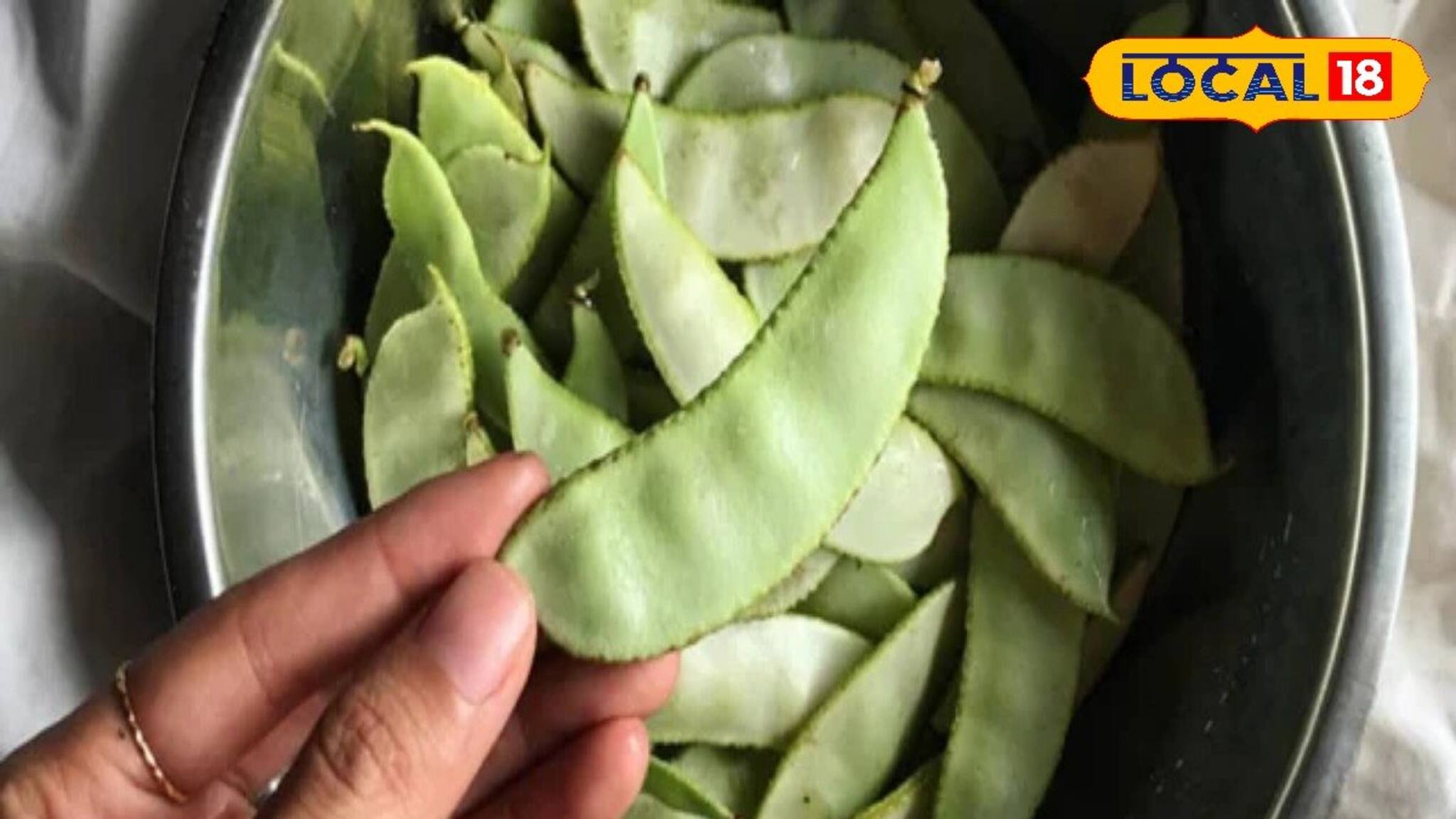 ক্যানসার, ডায়াবেটিস, হৃদরোগ থেকে ত্বকের সমস্যা দূর করে শিম! খেতে হবে নিয়ম মেনে!