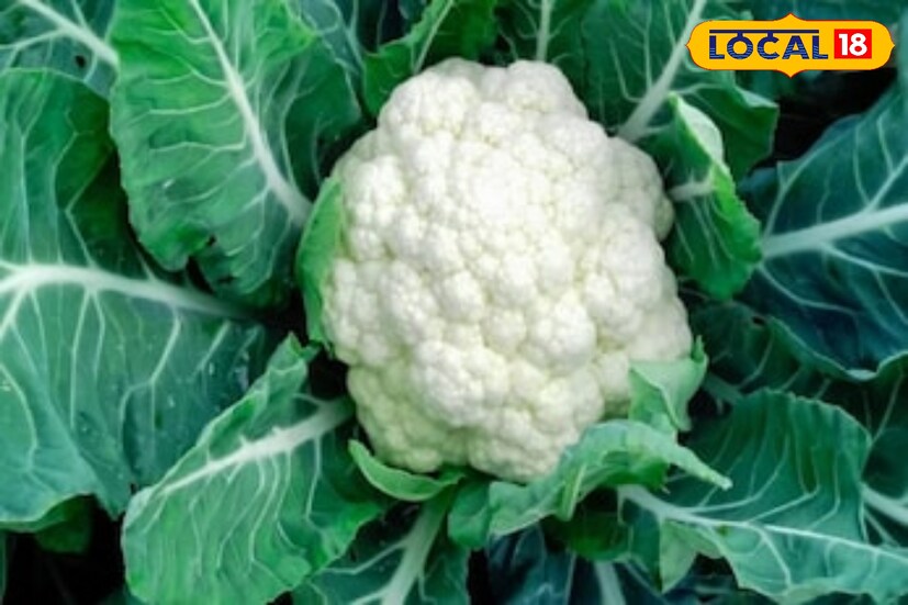 চিনি, রান্না করা গাজরের তরকারি, পাকা কলা, শুকনো ফল, মধু, ময়দার রুটি, সাদা ভাত, আলু, মিষ্টি শরীরে কার্বহাইড্রেটের মাত্রা বাড়ায়। থায়রয়েড থাকলে এগুলোও কম খান। চা, কফি, চকোলেট, সফট ড্রিঙ্ক যতটা সম্ভব এড়িয়ে চলুন।তবে কিছুর আগে বিশেষজ্ঞদের পরামর্শ নেওয়া অবশ্যই প্রয়োজন।