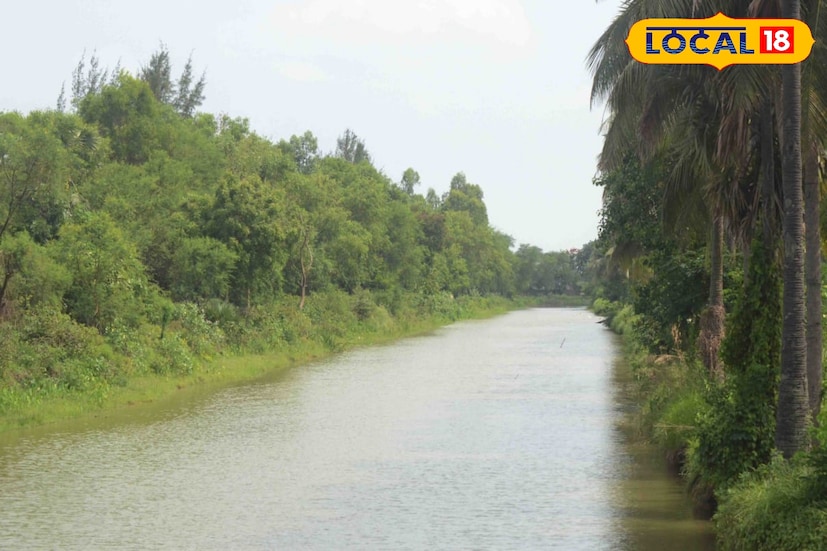 হাওড়ার পর্যটন কেন্দ্রের তালিকায় নতুন সংযোজন শিবগঞ্জ পর্যটন কেন্দ্র। হাওড়ায় পর্যটন কেন্দ্র গড়চুমুক এবং গাদিয়ার তো ছিলই। হাওড়া এবং পূর্ব মেদিনীপুর জেলার সীমানা শিবগঞ্জ। হুগলি নদীর পূর্ব পাড়ে দক্ষিণ ২৪ পরগনার ফলতা। এবং পশ্চিম পাড়ে হাওড়ার শিবগঞ্জ। 