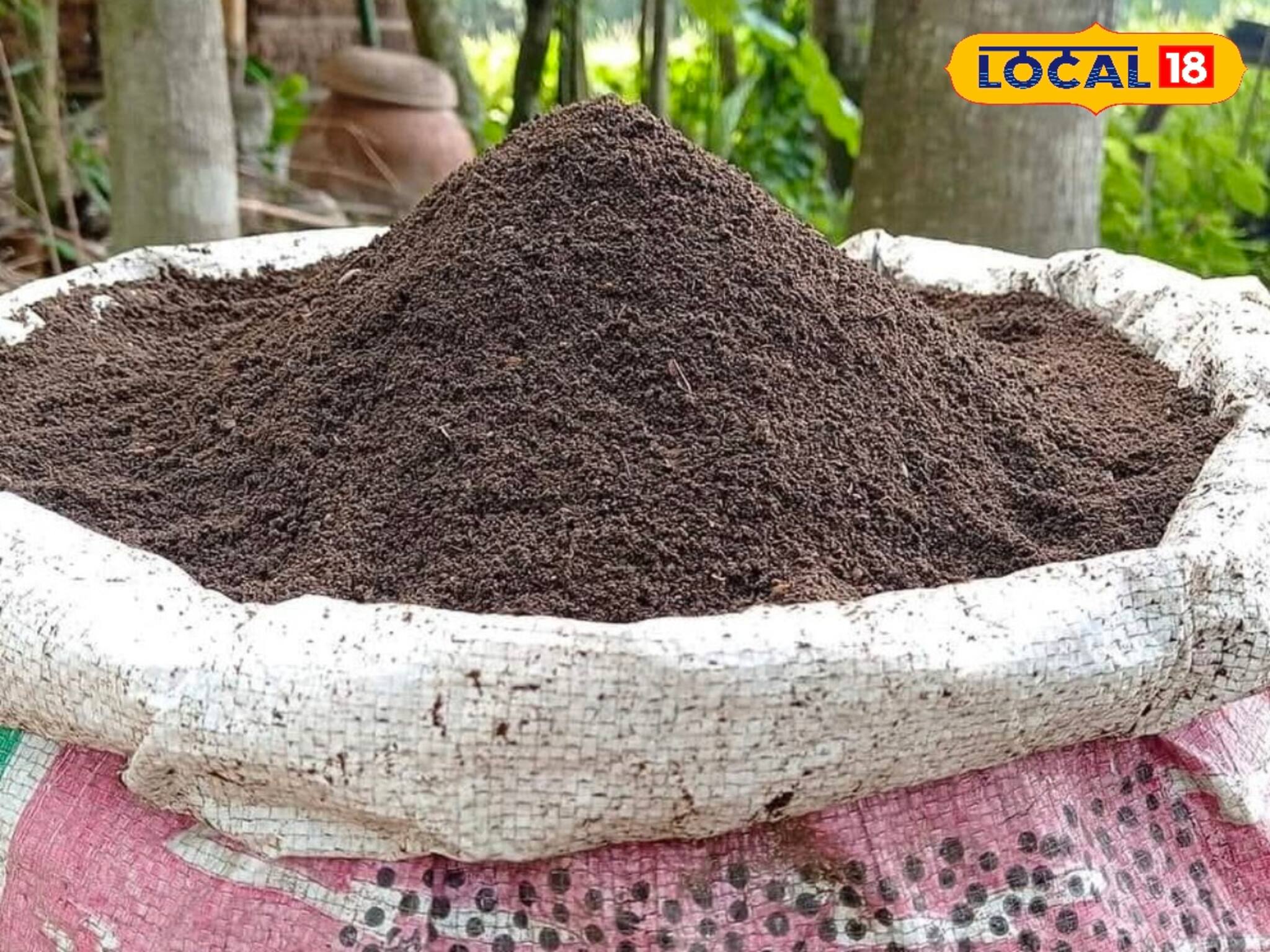 ফেলে দেওয়া জিনিস দিয়ে এই ব্যবসা শুরু করুন! ঘরে বসে হাজার হাজার টাকা আয়