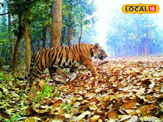 প্রতিকী চিত্র