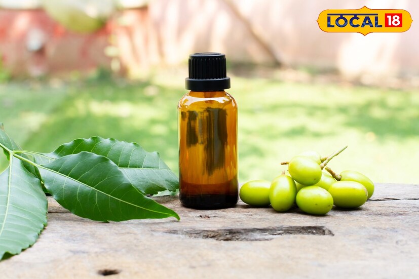 যদি সমস্যা না হয়, তাহলে একটি তুলোর ছোট বল তৈরি করে তা ভিজিয়ে নিন নিম তেলে। এবার এই তুলোর বল দিয়ে ত্বকে ভালো ভাবে ম্যাসাজ করুন মিনিট পনেরো। এরপর নিম তেলের পুষ্টিগুণ ত্বকে মিশে যেতে অপেক্ষা করুন আধঘণ্টা মতো।