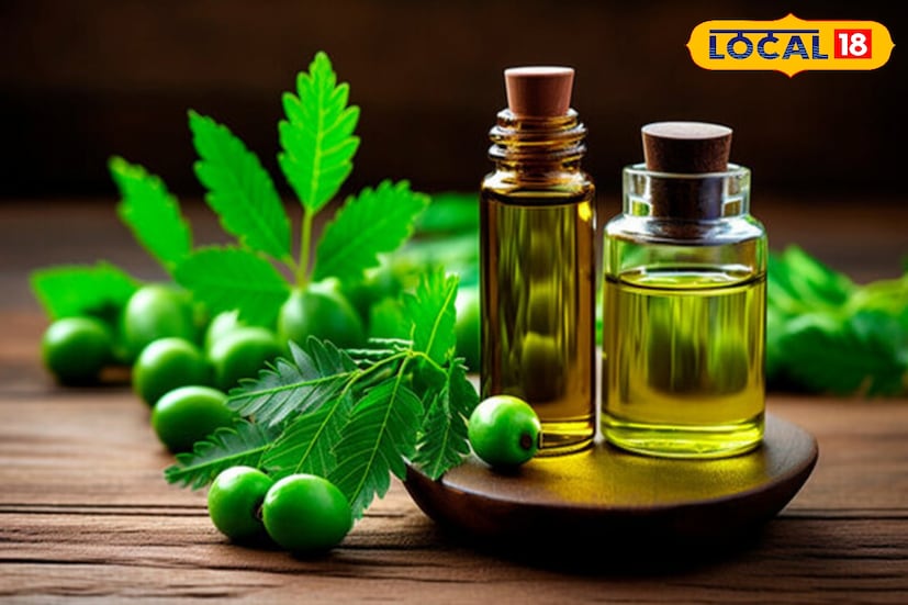 অনুজ্জ্বল ত্বক, কালো ছোপ ছোপ দাগ, বয়সের ছাপ, বলিরেখা, ব্রণ, অ্যাকনে, শুষ্ক ত্বক এমনকি মুখের মলিন ভাবও দূর করার ক্ষেত্রে নিম তেলের বিশেষ অবদান আছে।