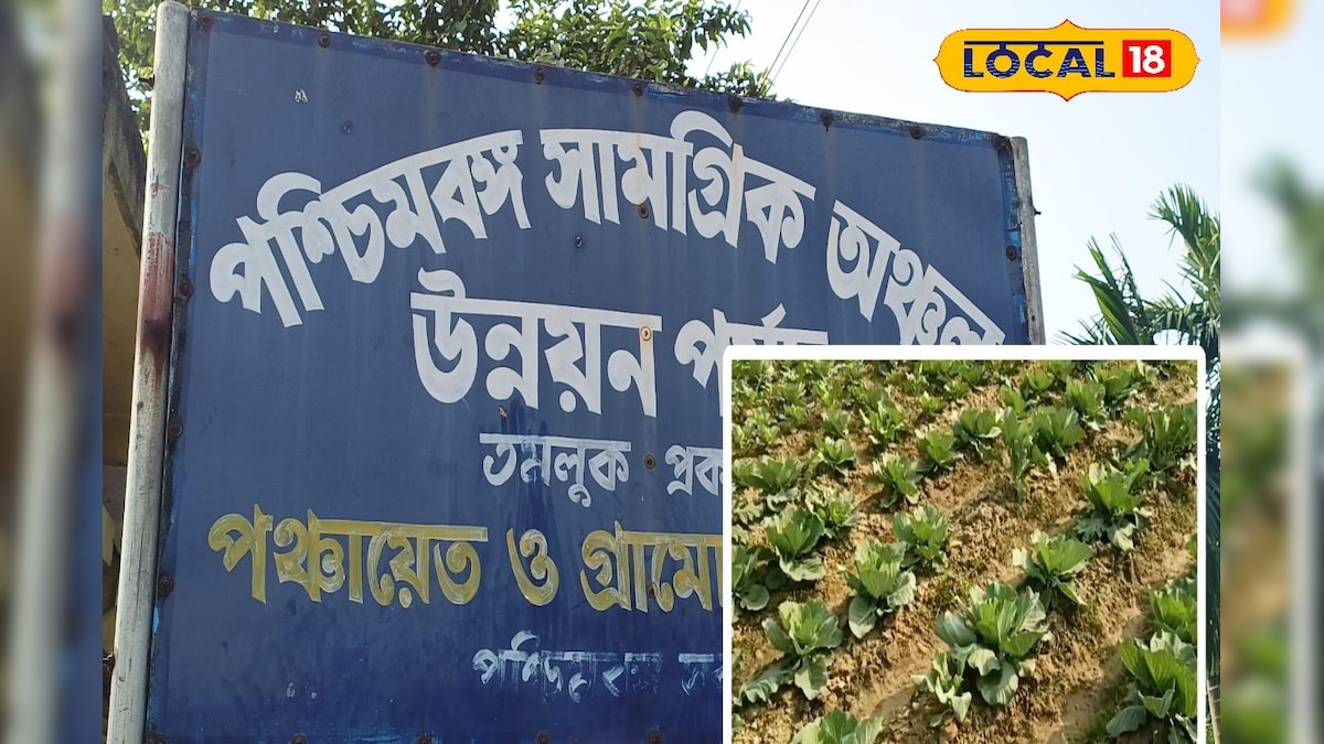 Organic vegetable cultivation begins as a government initiative to restore health