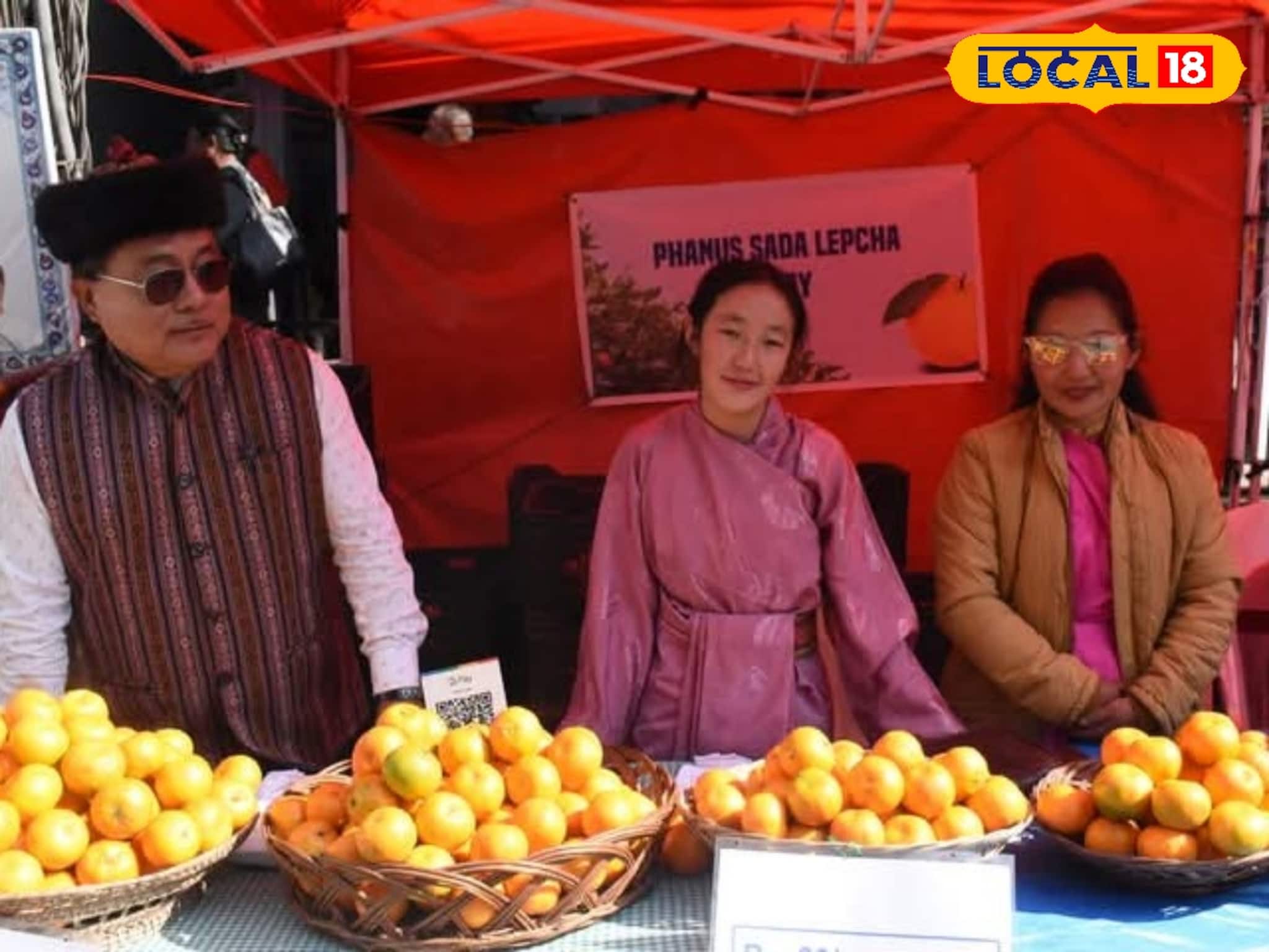 দার্জিলিং-কালিম্পং ঘুরতে যাবেন! কমলালেবু উৎসব ঘুরে দেখতে ভুলবেন না