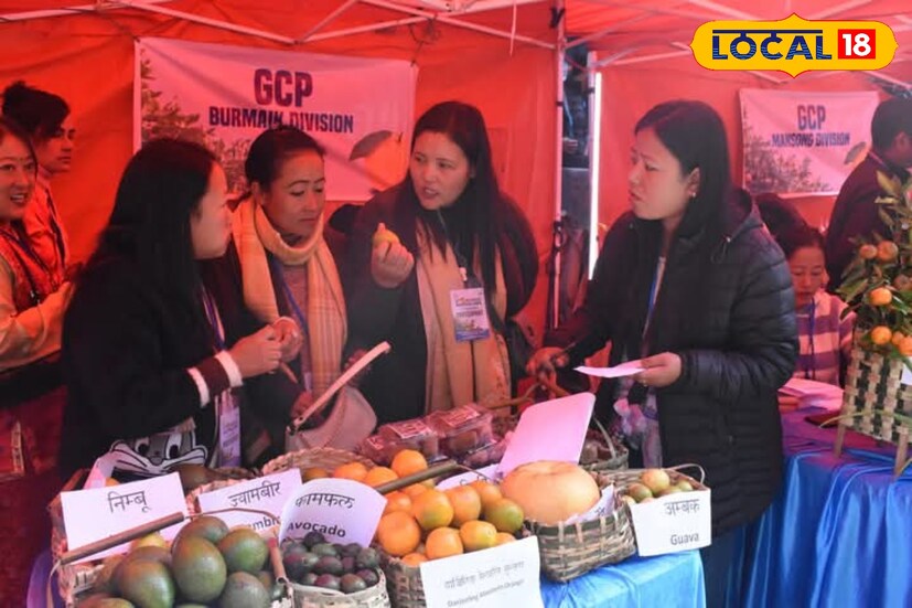 তারই ফলশ্রুতিতে পাহাড়ে সিটং, সুখিয়াপোখরি, মিরিক, রংলি-রংলিয়ত এবং পুলবাজার এলাকায় ফের কমলালেবুর চাষের এলাকা বাড়ছে। এখন প্রায় ৫০ হাজার হেক্টর জমিতে কমলালেবু চাষ শুরু হয়েছে।