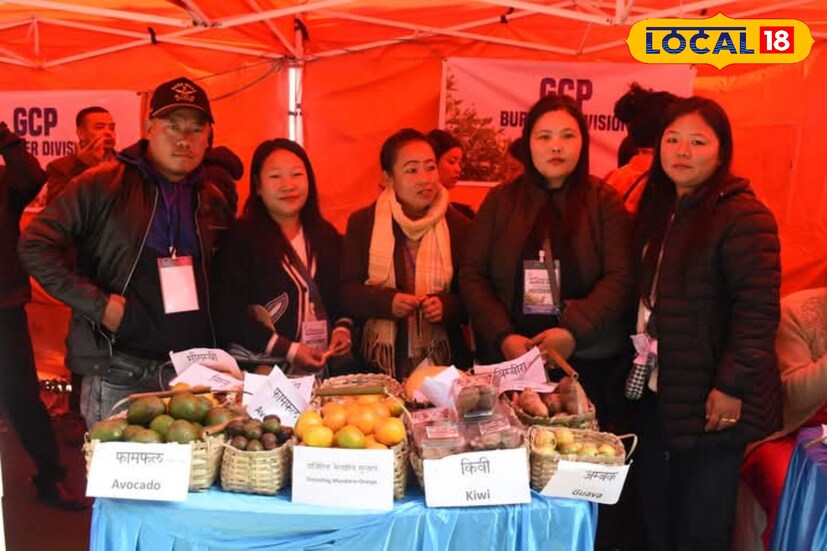 পাহাড়ে কমলালেবু চাষের প্রসার ঘটাতে উদ্যান পালন দফতরের অধীন সিঙ্কোনা কর্তৃপক্ষ পথে নামে। কৃষকদের কমলালাবুর চারা বিলির পাশাপাশি, কমলালেবুর রোগমুক্তির জন্যও কাজ করছেন সিঙ্কোনার আধিকারিকেরা। 