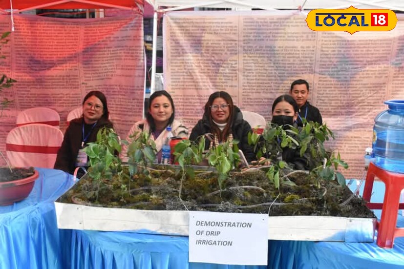 দেশের বিভিন্ন প্রান্ত থেকে বিজ্ঞানীদের ডেকে এনে পাহাড়ের কমলা চাষের এলাকা পরিদর্শন এবং সেমিনারের আয়োজন করা হয়। নতুন চারা এনে শুরু হয় চাষ। 