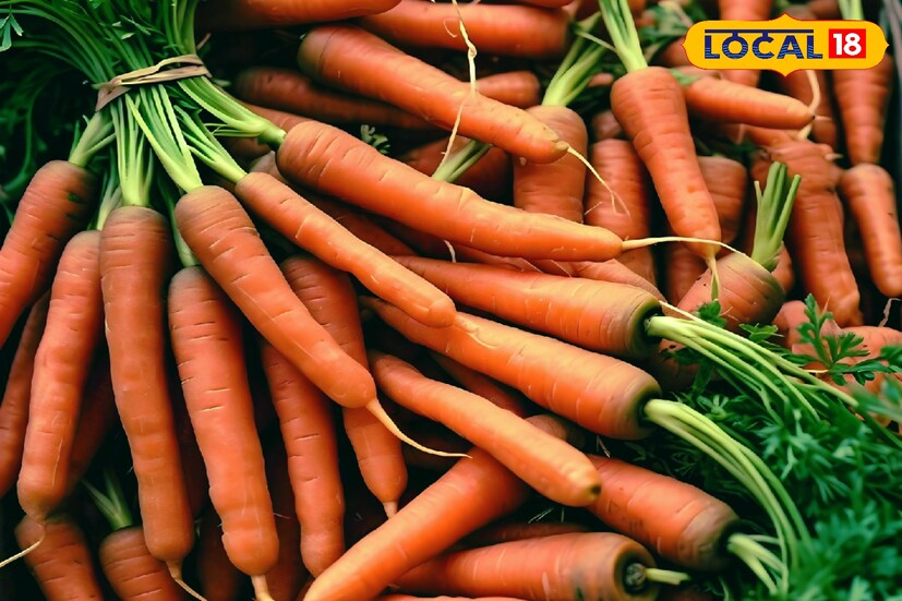 শীতের মরসুমে একাধিক সবজির সম্ভার দেখতে পাওয়া যায় বাজারে। এই সকল সবজি গুলি মানব দেহের জন্য অনেকটাই গুরুত্বপূর্ণ ভূমিকা পালন করে থাকে।