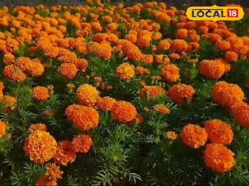 ফুল