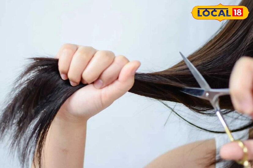 শীতকালে অনেকের চুলের আগা ফেটে যায়। চুলের আগা ফেটে যাওয়া অংশ কেটে ফেলে দেওয়াই ভালো। এতে চুলের বৃদ্ধি হয় দ্রুত।