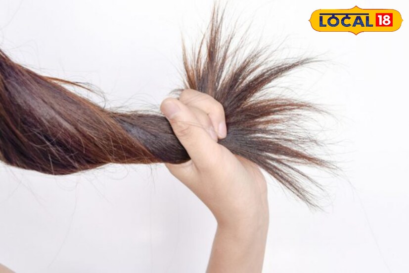 শীতের রুক্ষ আবহাওয়া ও কুয়াশার হাত থেকে চুলকে বাঁচাতে চুল ঢেকে রাখাই ভালো। তাছাড়া শীতকালে বাতাসে ধুলোবালি বেশি থাকে। তাই বাইরে যাওয়ার সময় চুলে পাতলা কাপড় বা মাফলার জড়িয়ে বের হলে চুল ভাল থাকবে।