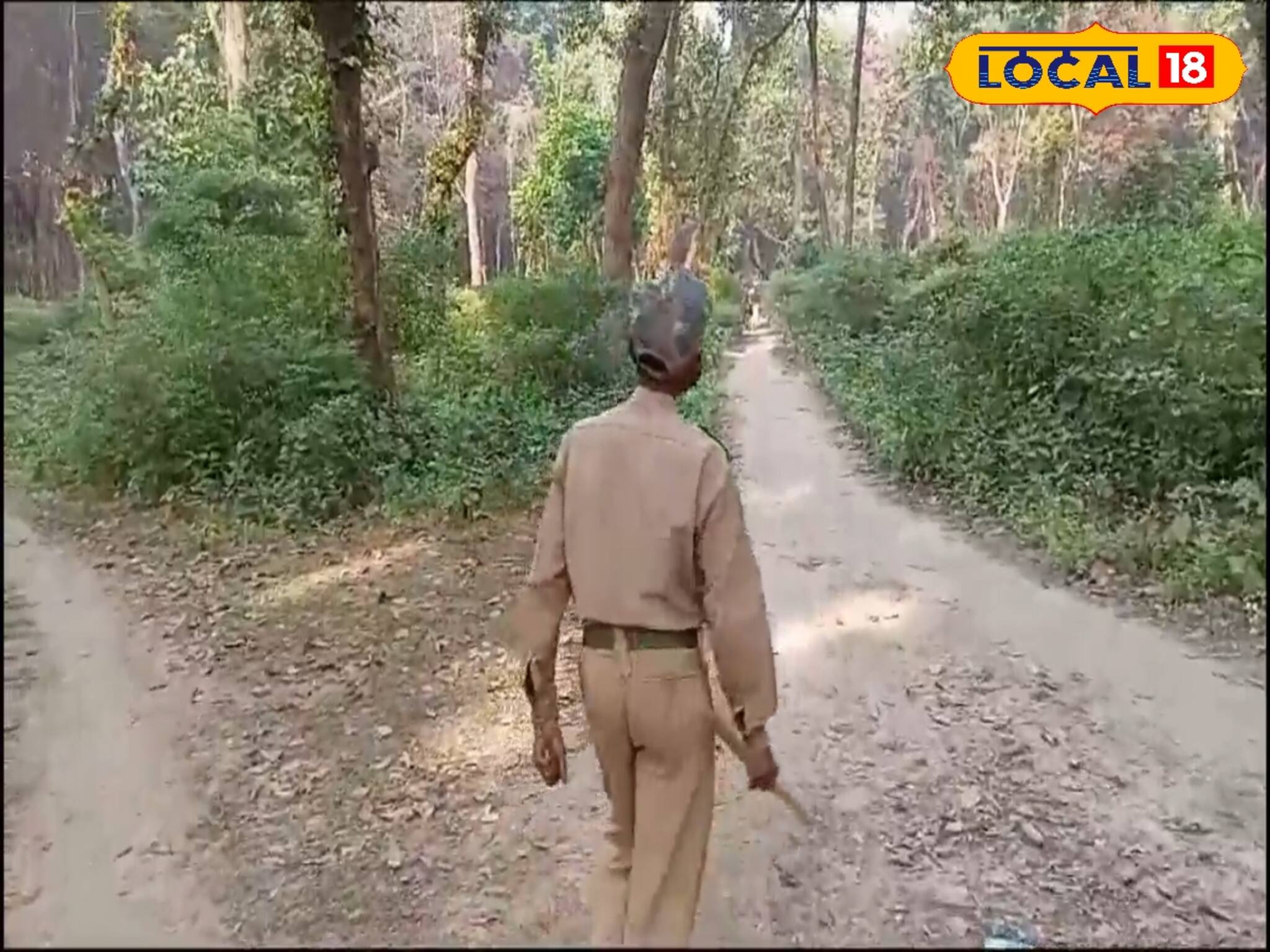 এই ফরেস্টে করা ‌যাবেনা কোনও কুকর্ম! হাজির হবেন 'বনের রাজা'! চিনে নিন