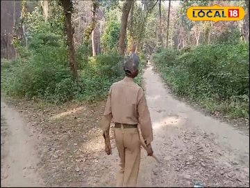 বনের বনের