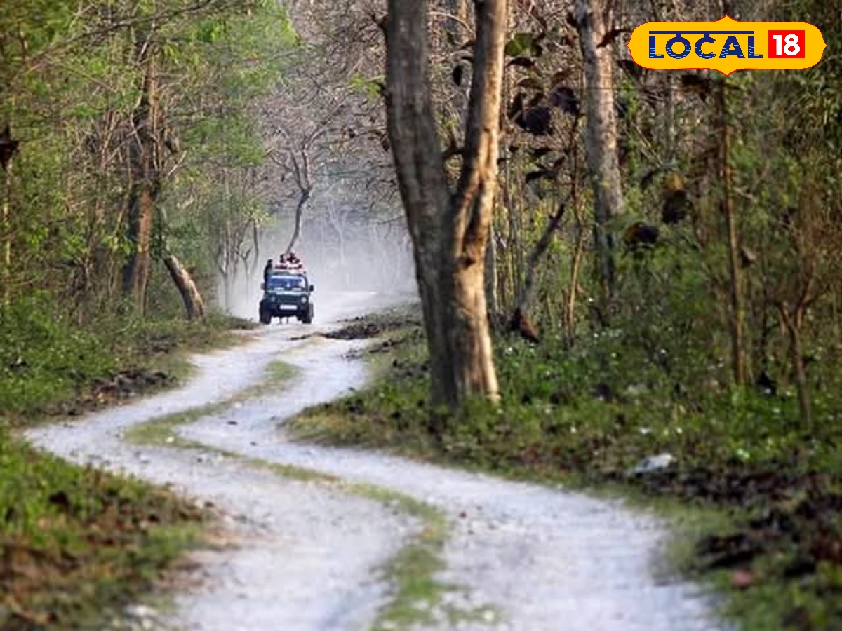 Dooars Tourism: জঙ্গল ভ্রমণ এখন আরও রোমাঞ্চকর! পর্যটকদের জন্য নতুন বছরে বড় সুখবর! কী হচ্ছে ডুয়ার্সে জানুন