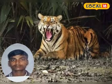 বাঘের হানায় মৃত্যু মৎস্যজীবীর
