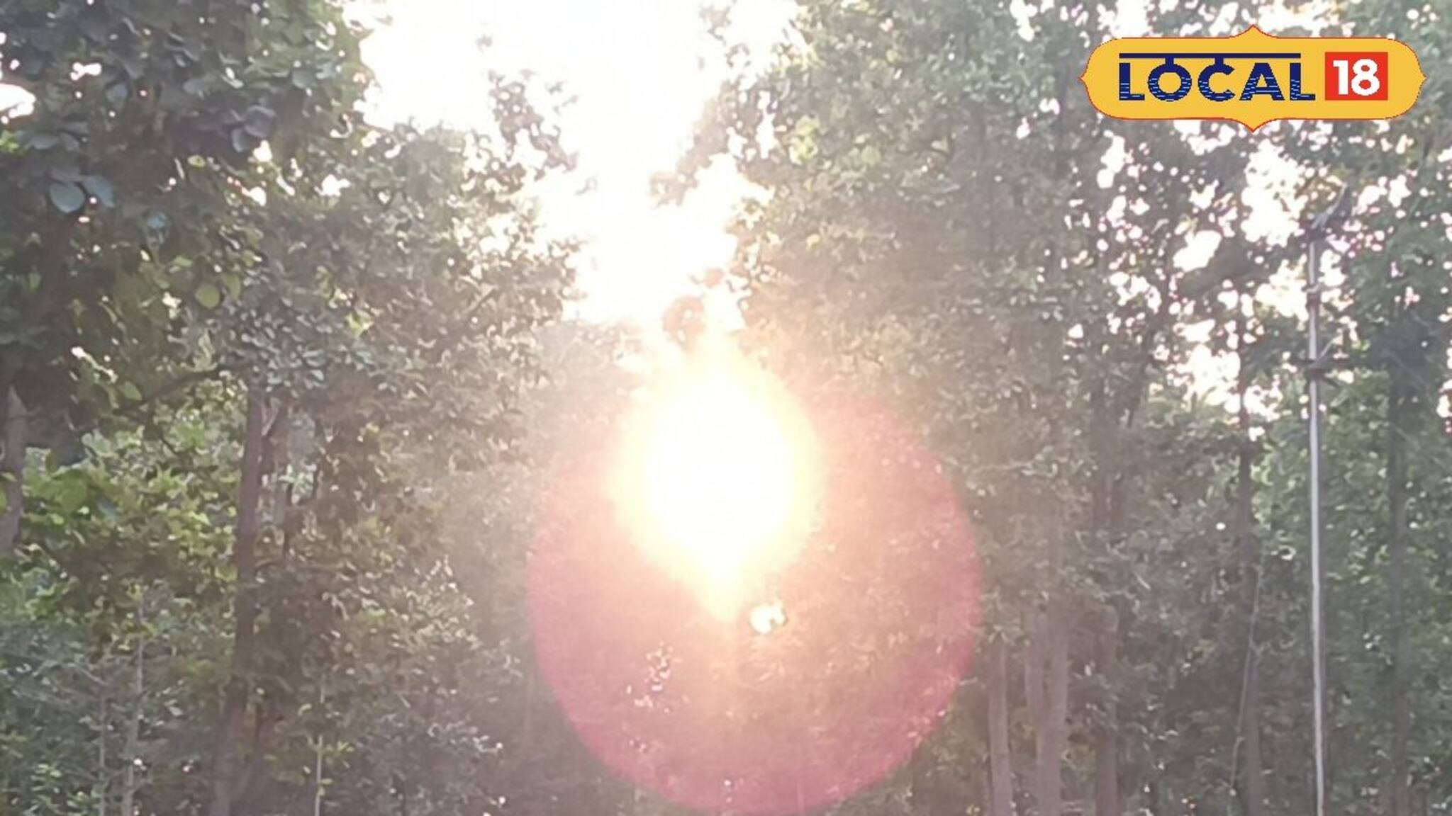 Jhargram: জঙ্গলের বুক চিড়ে রাজপথ! শাল-পিয়ালের ঘন জঙ্গলে সূর্যাস্তের মায়াবী দৃশ্য, ঝাড়গ্রামের এই জায়গায় না গেলে বড় মিস