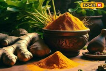 ক্যানসারের যম এই মশলা, লিভার-কিডনির দারুণ বন্ধু! শুধু জানুন কীভাবে, কখন খাবেন
