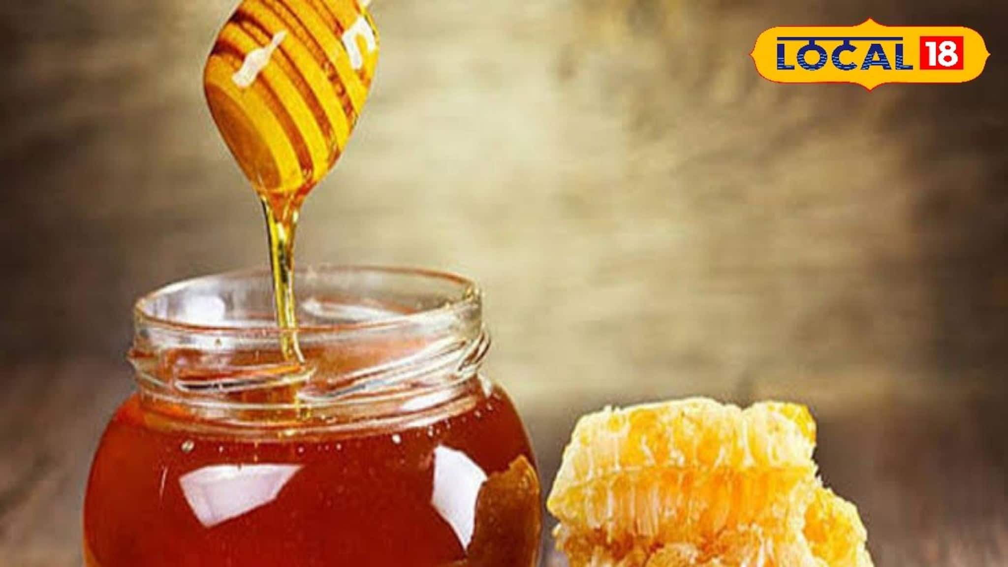 মধু মানেই উপকারী নয়! এঁরা কিন্তু ভুলেও মুখে তুলবেন না, বড় বিপদ হয়ে যাবে অজান্তেই