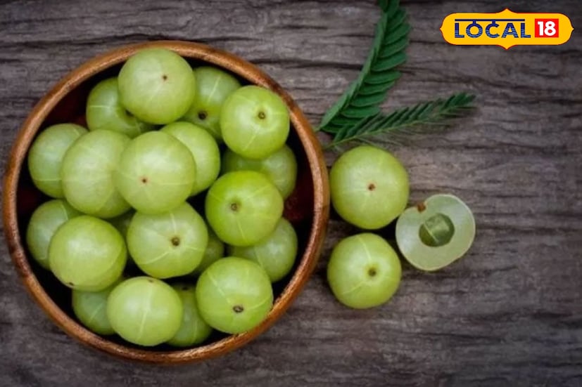 রায়বেরেলির আয়ুশ মেডিকেল অফিসার ডাঃ স্মিতা শ্রীবাস্তবের মতে, আমলা কোলাজেন উৎপাদন বাড়ায়, যা মাথার ত্বকে রক্ত ​​সঞ্চালন উন্নত করে এবং চুল দ্রুত বাড়তে শুরু করে। প্রতিদিন এটি খেলে চুল ঘন ও মজবুত হয়। Photo- Representative