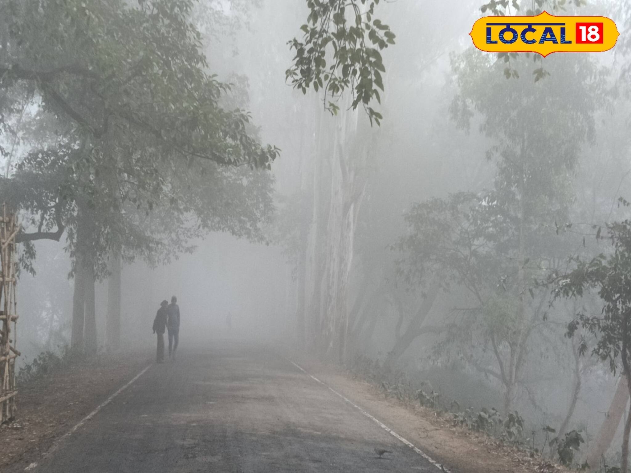ক্রিসমাসে দার্জিলিং যাচ্ছেন? কতটা কনকনে ঠান্ডা হবে? বেড়ানোর আগে রইল মেগা আপডেট