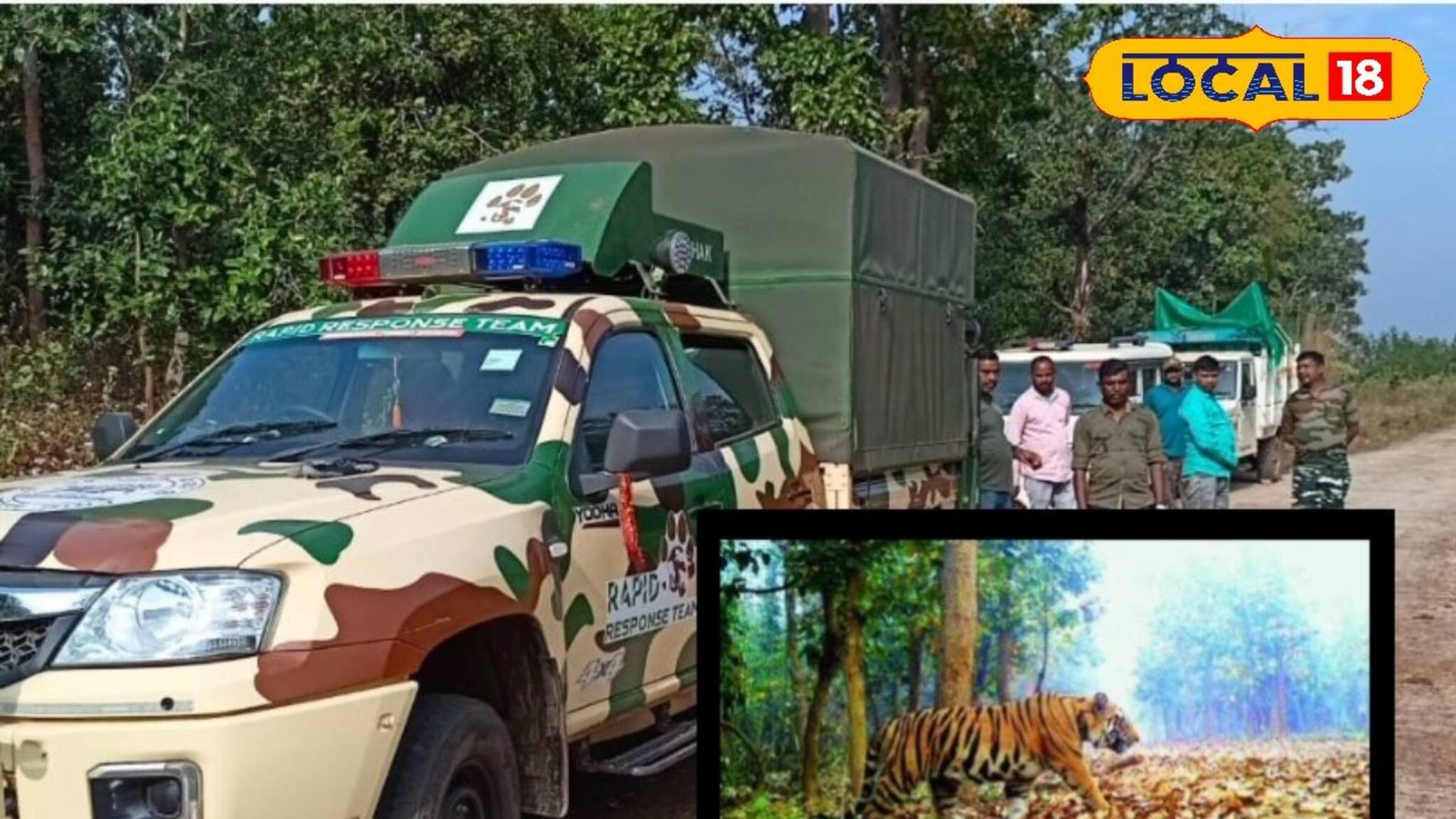 Jhargram News: জঙ্গলে জিনাত! বাগে আনতে কালঘাম ছুটছে বন দফতরের, জঙ্গলমহলে এখন শুধু আতঙ্ক আর আতঙ্ক