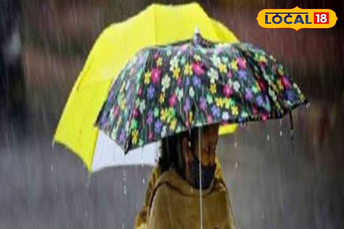 IMD WB Weekend Weather Forecast: রবিবারের ঝেঁপে বৃষ্টি কলকাতা-সহ দক্ষিণের জেলায় জেলায়? সোমবারে কেমন আবহাওয়া? আলিপুরের আপডেট