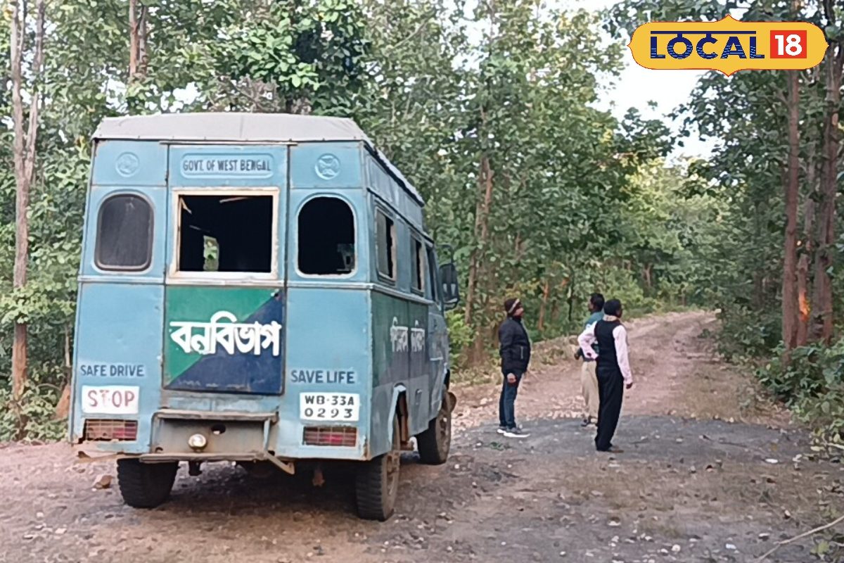 ঝাড়গ্রামে কাটল 'আতঙ্ক', এবার শীতের শর্ট ট্রিপ সেরে আসুন নিশ্চিন্তে