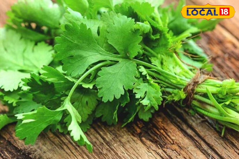 *ধনেপাতায় অ্যান্টিঅক্সিডেন্ট থাকে, যা রক্ত থেকে বিষাক্ত পদার্থ দূর করে এবং রক্ত পরিষ্কার করতে সাহায্য করে। ধনেপাতায় পাওয়া বিটা-ক্যারোটিন শরীর দ্বারা ভিটামিন এ চোখের স্বাস্থ্য ভাল রাখে।