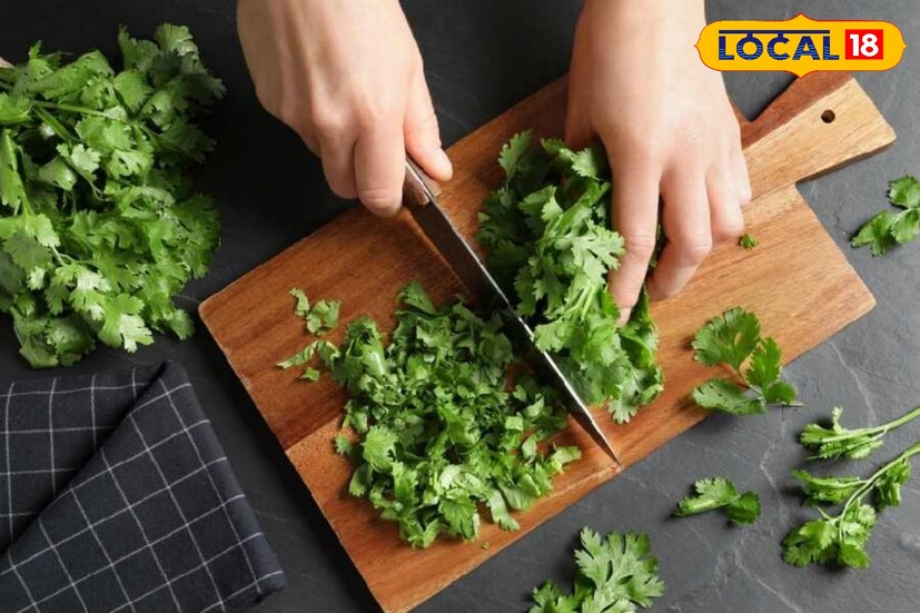 *ধনেপাতা ত্বকের উজ্জ্বলতা বাড়ায় এবং চুল পড়া কমাতে সাহায্য করে। এতে থাকা ভিটামিন সি ও অ্যান্টিঅক্সিডেন্ট ত্বককে সুরক্ষিত রাখে।