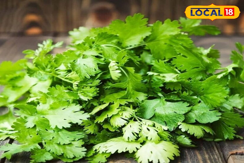 *ধনেপাতা রোগ প্রতিরোধ ক্ষমতা বাড়াতে সহায়তা করে। কারণ এতে ভিটামিন এ, সি এবং অন্যান্য পুষ্টি উপাদান থাকে। চোখের জন্য খুব উপকার।