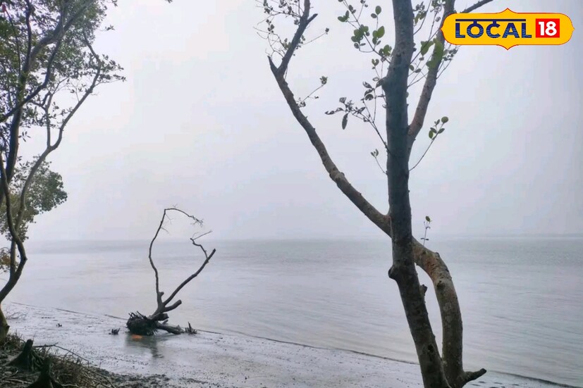 এই জায়গা পিকনিকের জন্য আদর্শ জায়গা। জঙ্গলের মধ্যে একটা দিন কাটাতে চাইলে ঘুরে আসতেই পারেন নিউ বকখালি। 