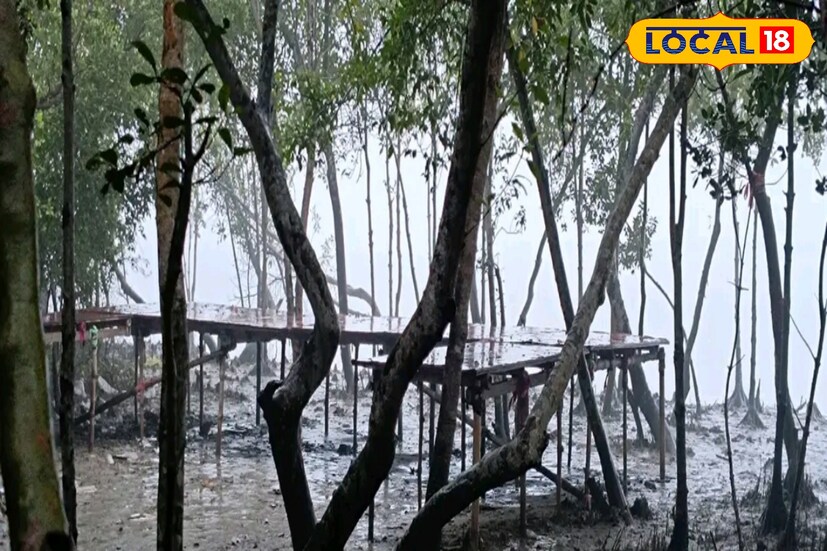 মনোরম জায়গা, নদীর তীরে সারাদিন একান্তে বসে থাকলে সময় কেটে যাবে দিব্যি। তবে এখানে আসলে বাইরে থেকে খাবার নিয়ে আসতে হবে আপনাকে।