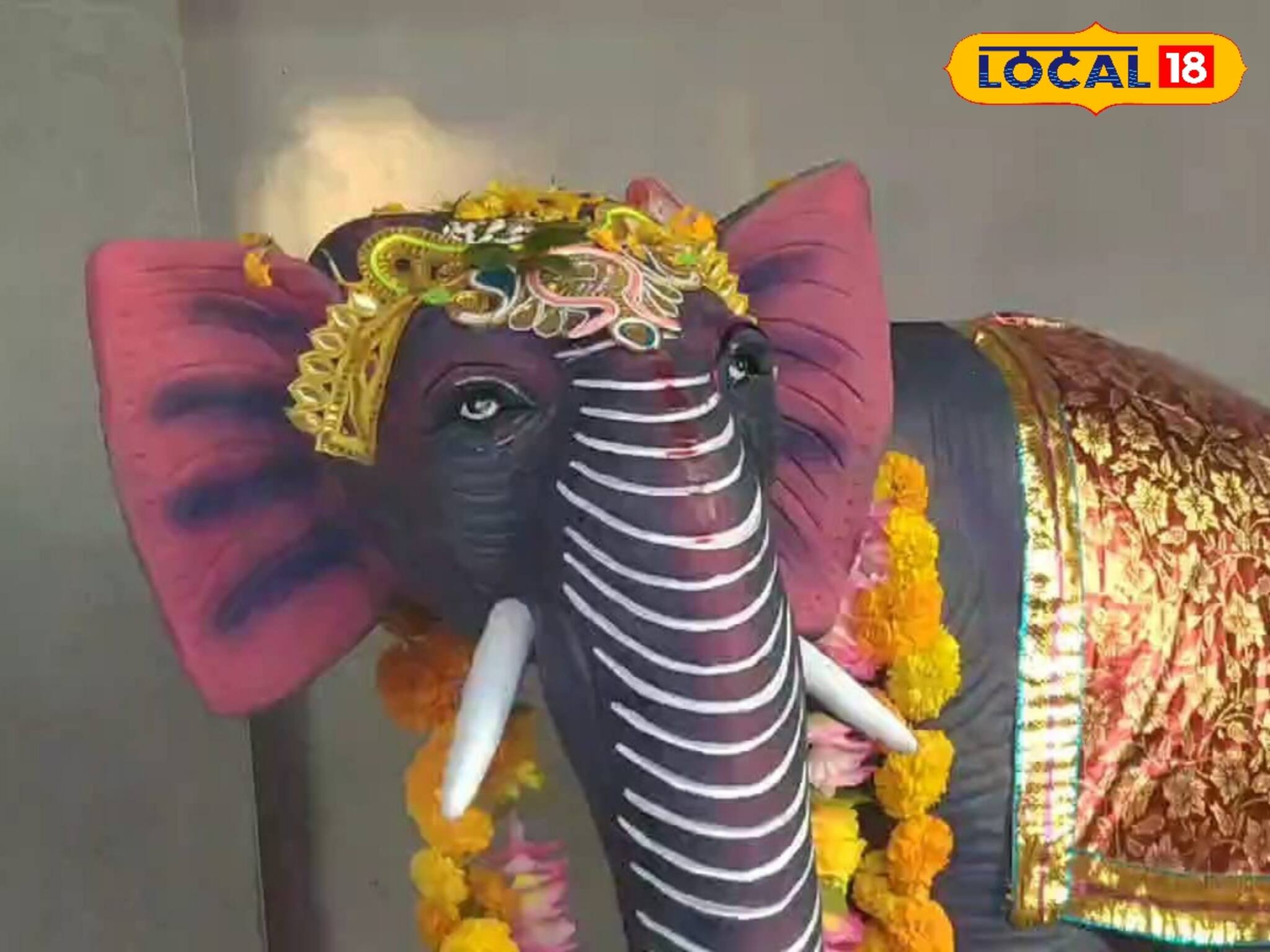 হাতির তাণ্ডব থেকে রক্ষা পেতে হাতিয়ার হাতিই! বিশেষ আয়োজন বক্সার এই এলাকায়