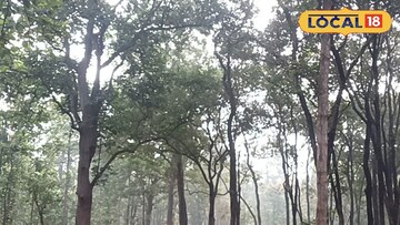 রাজবাঁধ