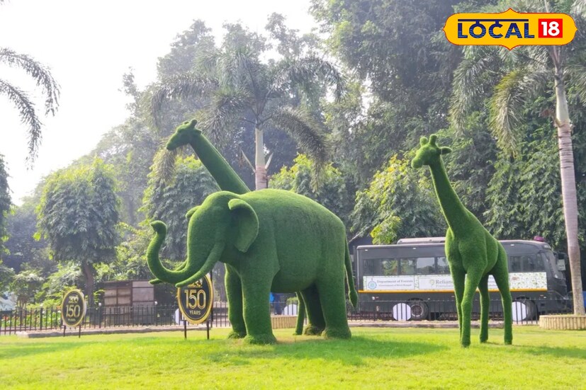 বাঘ, সিংহ, জেব্রা, হরিণ, গন্ডার, হাতি—সব মিলিয়ে ১২০০ বেশি পশুপাখি দেখা যায় এখানে। পাঁচ বছরের নীচের শিশুদের জন্য এন্ট্রি ফি ২০ টাকা, পাঁচ বছরের ঊর্ধ্বে সকলকেই দিতে হবে ৫০ টাকা।