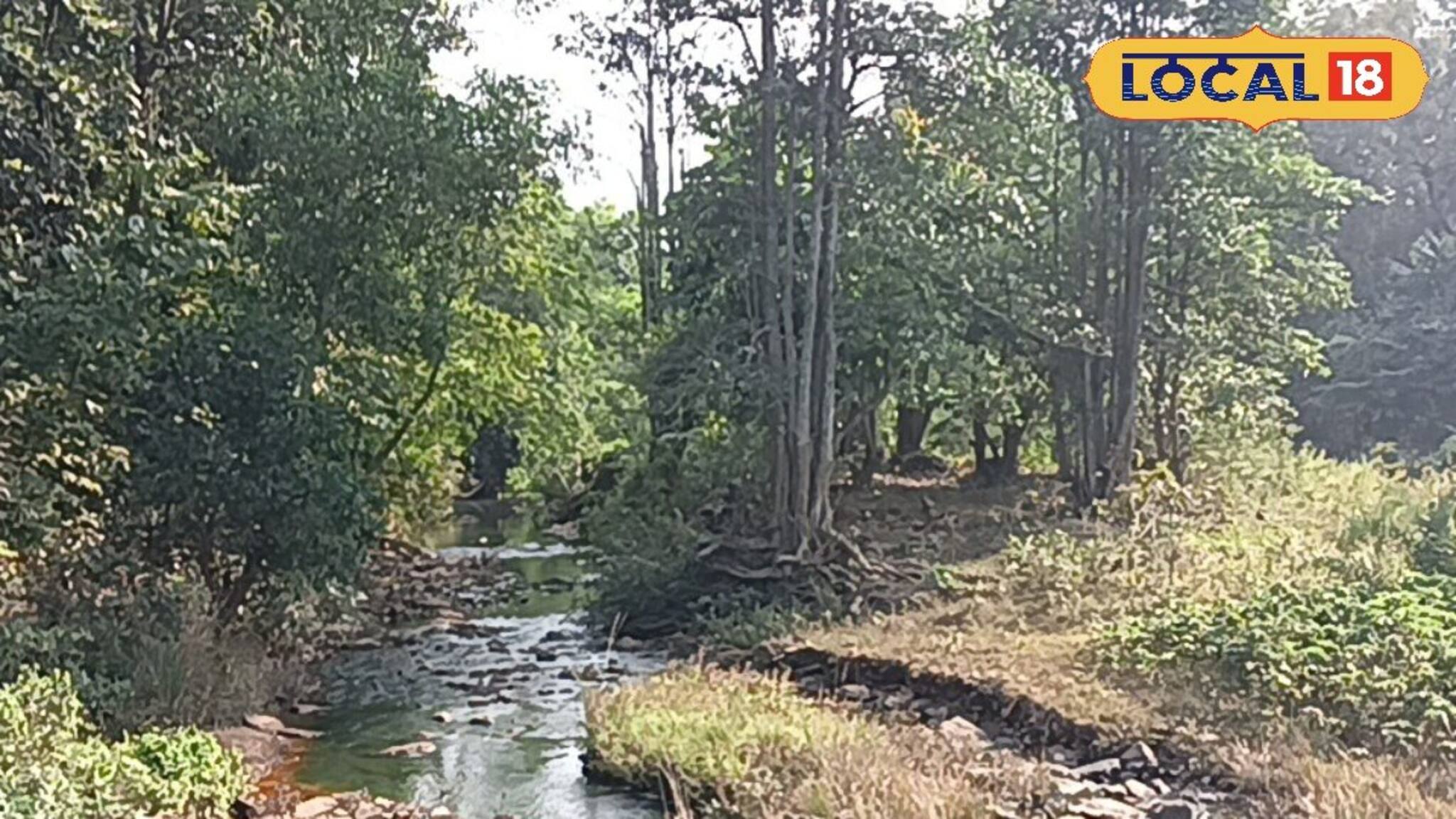 Travel: বেলপাহাড়ি বেড়াতে গেলে এই জায়গা মিস করবেন না! ঠিক যেন এক টুকরো স্বর্গ!